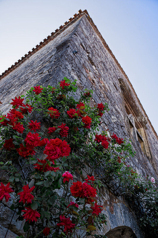可爱的角落房子，灰色的石头上有红玫瑰，新阿基坦多尔多涅蒙帕齐耶Bastide de Monpazier